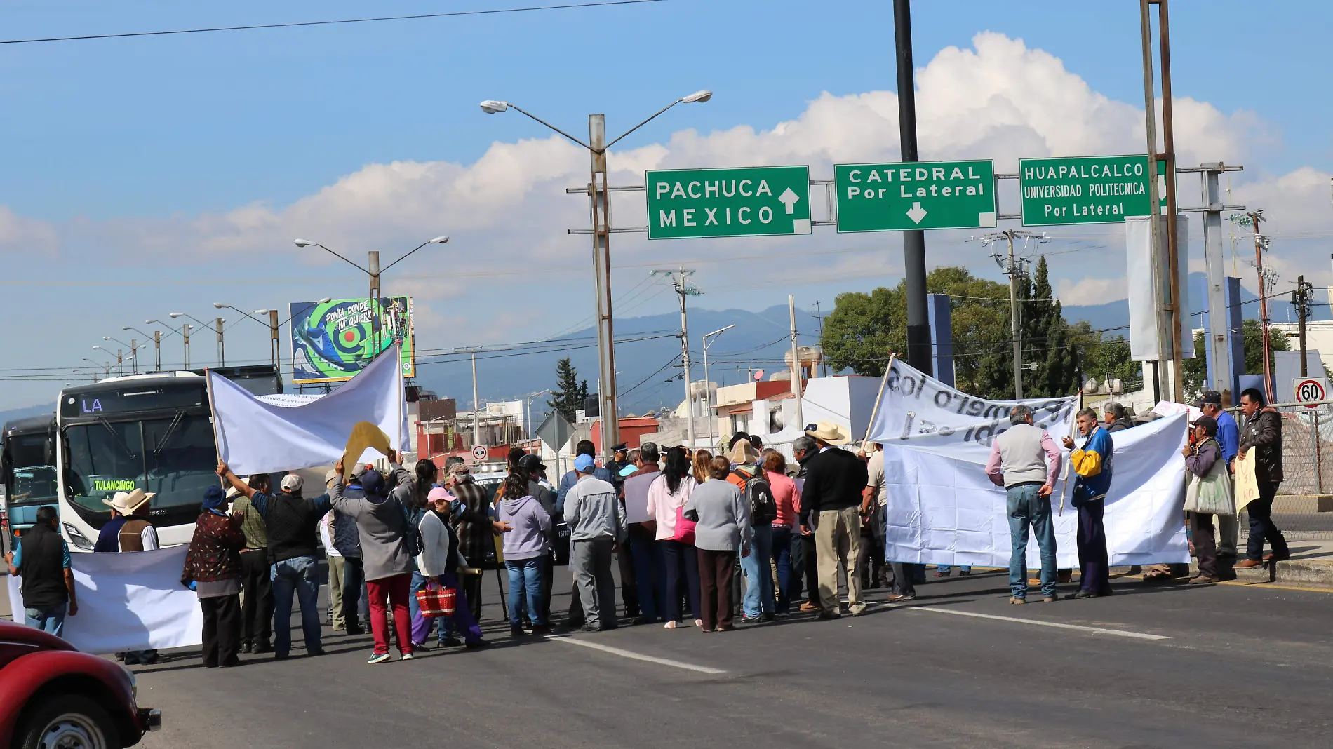 MANIFESTACIÓN - WEB